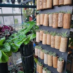 Display Image 3